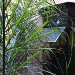 Riad Dar Ftouma — Marrakech