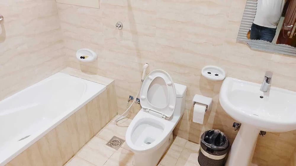 Celine Al Motamaiza Furnished Apartment — Jeddah