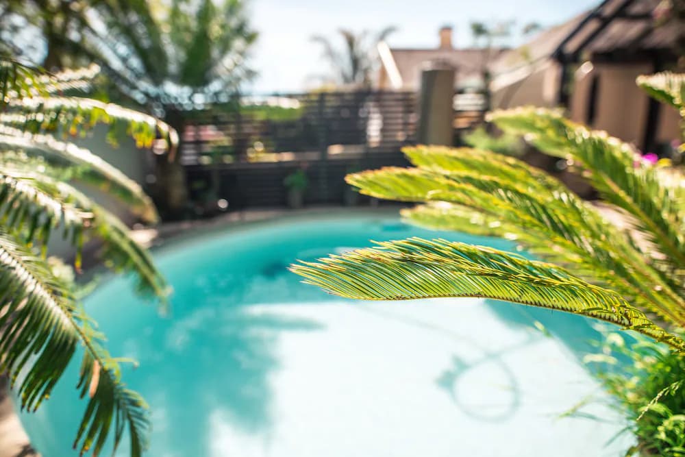 Point B Guest House — Cape Town