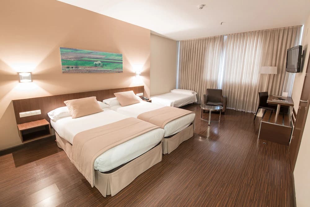 Hotel Abad San Antonio — Leon